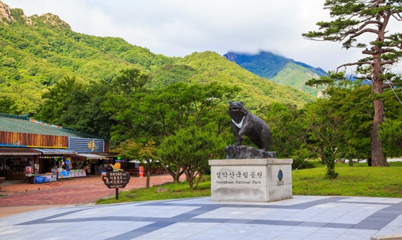 我行我素 素食旅遊 | 雪嶽山、南怡島、三岳山湖水纜車、景福宮、塗鴉秀、樂天超市5日 (不進人蔘保肝店/含導遊領隊服務費/上網卡)